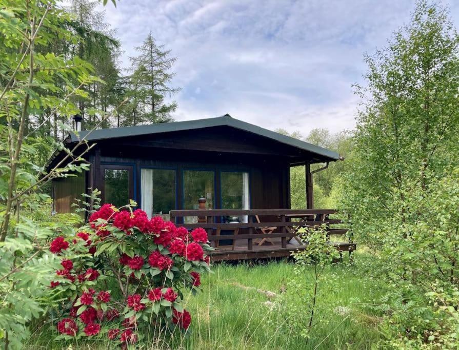 Woodland Retreats Apartamento Fort William Exterior foto